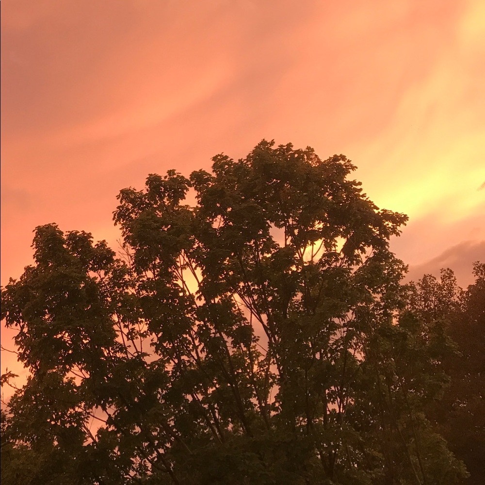 Meet your Posher, Leslie